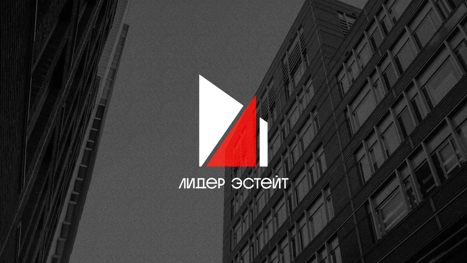 Сделали логотип для агентства недвижимости «Лидер Эстейт» в Верхоянске
